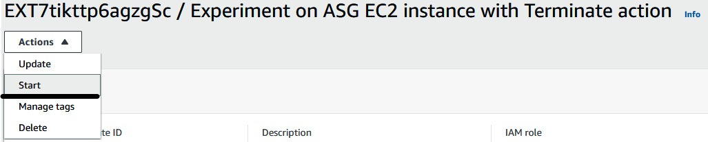 Figure 6.16 – Starting the FIS experiment template
