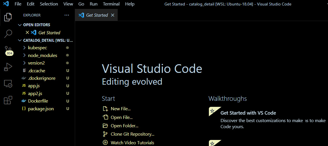 Figure 9.2 – VS Code home page with catalog_detail source code
