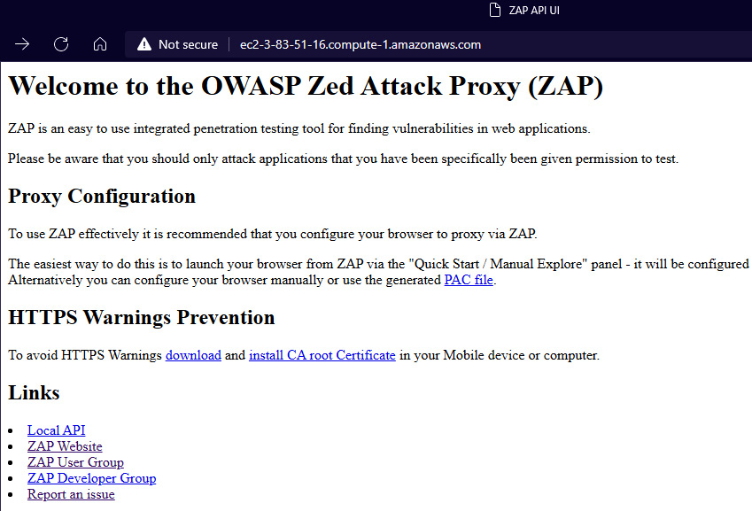 Figure 9.17 – OWASP ZAP API home page
