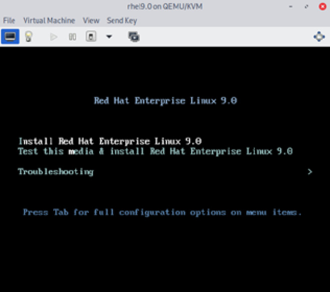 Figure 1.15 – Initial boot screen for RHEL 9 installation with Install selected
