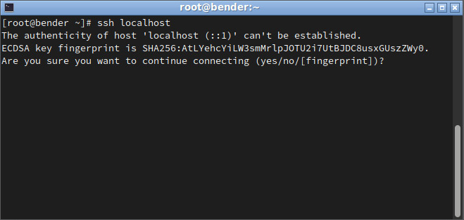 Figure 8.2 – Initiating an SSH connection to localhost
