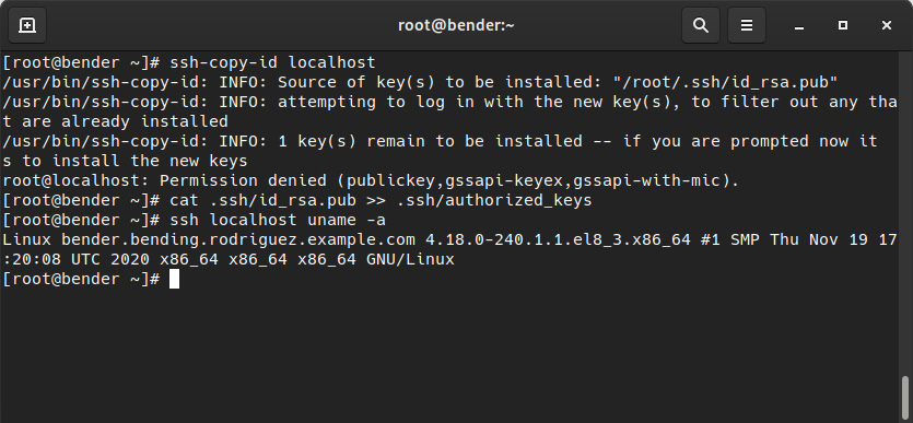 Figure 8.7 – ssh-copy-id failure and manual authorization of the private key
