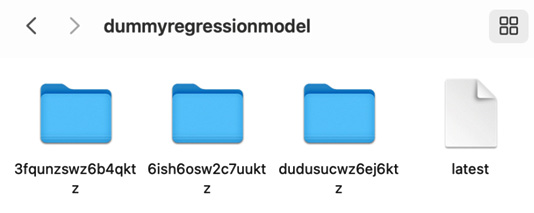 Figure 14.2 – The directory structure of the model store for the dummyregressionmodel model