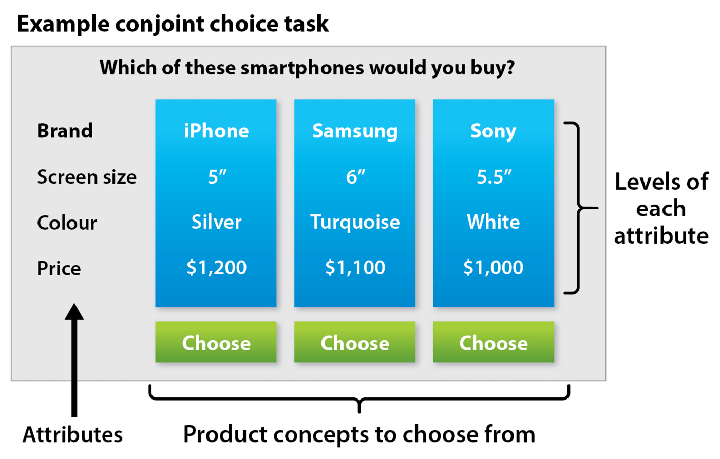 Figure 4.2: Conjoint choice task
