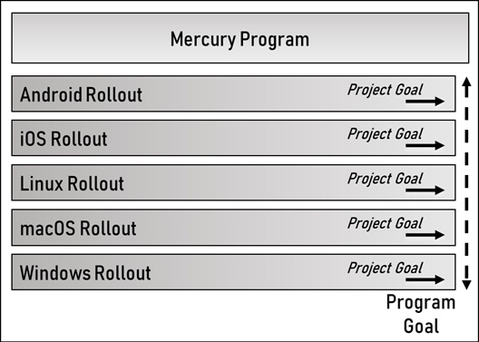 Figure 3.2 – The Mercury program roadmap