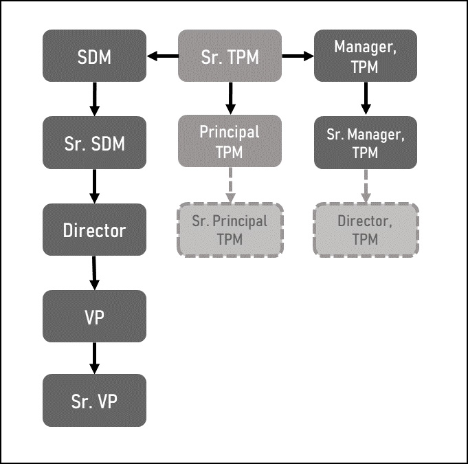 Figure 9.2 – TPM career paths
