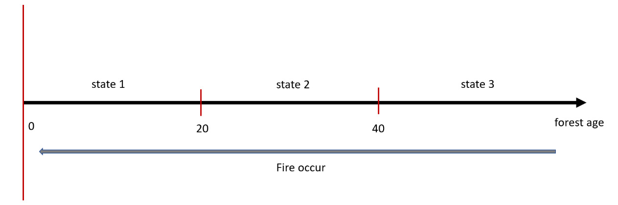 Figure 11.1 – States of the age of a forest
