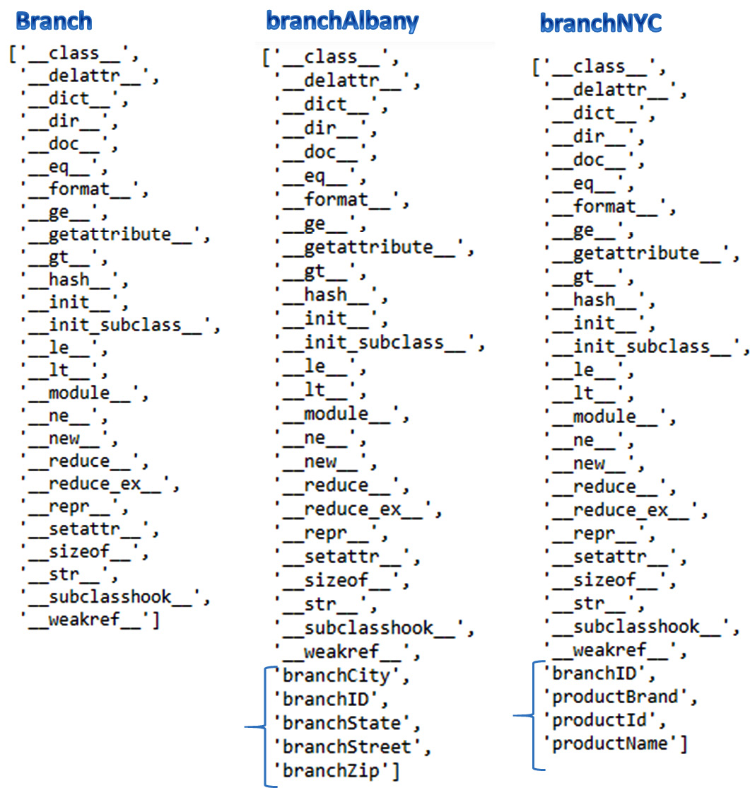 Figure 11.4 – Attributes of Branch, branchAlbany, and branchNYC
