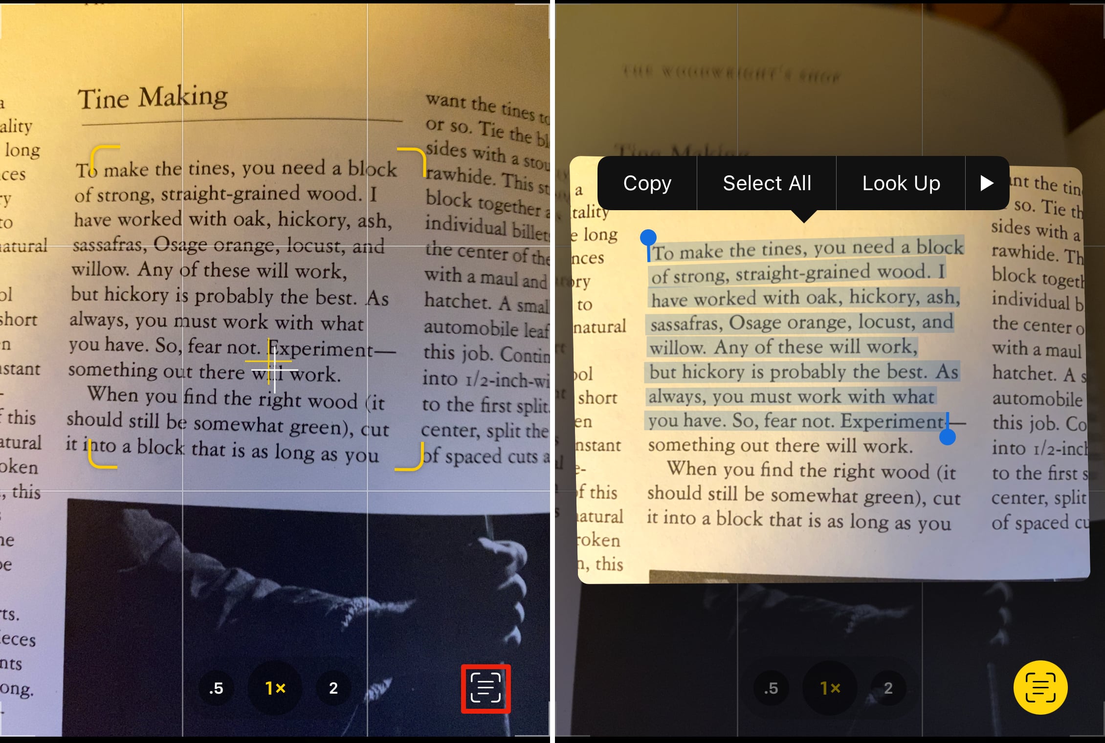 Figure 102: Detected text is highlighted in yellow (left). Tap the Detect Text button (red outline) to zoom in on text to manipulate it (right).