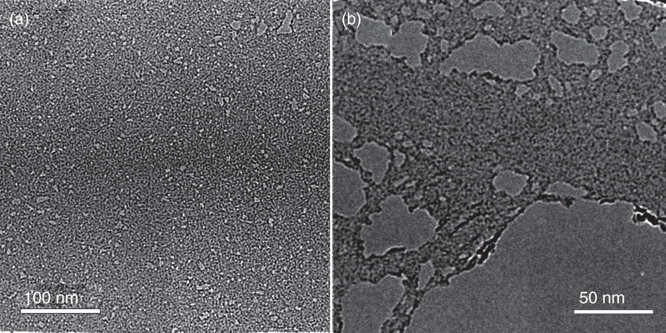 Photos depict the transmission electron microscopy images of the (a) carbonylated graphene and (b) carboxylated graphene.