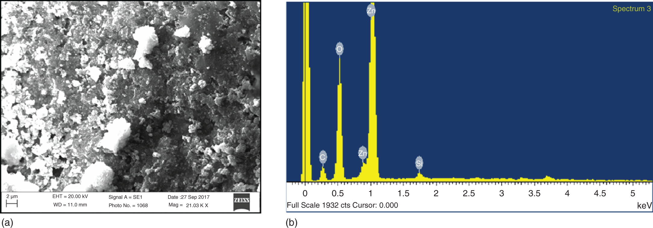 (a) Photo depicts SEM image and (b) EDX analysis of ZnONPs of Ficus auriculata.