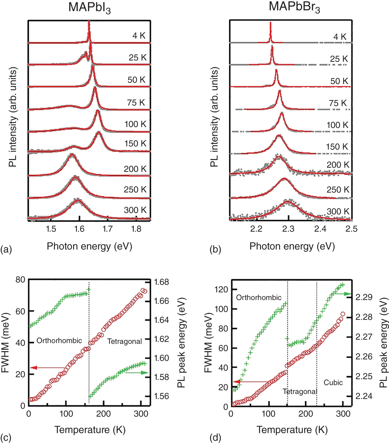 Schematic illustration of pL spectra of (a)  and (b) MAPbBr3 single crystals at various temperatures from 4 to 300 K obtained by PL microscopy. Solid curves represent the fitting results by pseudo-Voigt functions. Temperature dependence of PL energy and linewidth of (c)  and (d) MAPbBr3. Dotted lines indicate the phase transition temperatures.