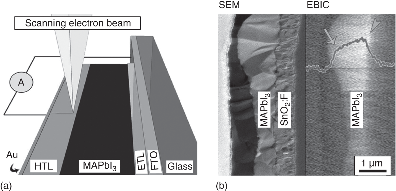 Schematic illustration of (a)band diagram of!experimental observationEBIC measurement performed for a planar  solar cell with a structure of glass/SnO2:F(FTO)/TiO2//HTL/Au and (b) cross-sectional SEM and EBIC images obtained from the experiment [55]. The  layer formed by a spin-coating process is nonuniform and the bright EBIC image in (b) reveals a uniform carrier collection over the entire  layer, indicating that the perovskite cell operates as a p-i-n device. The result of an EBIC line scan is also indicated.