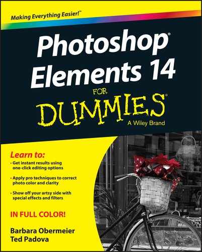 Photoshop Elements 14 For Dummies by Ted Padova, Barbara Obermeier