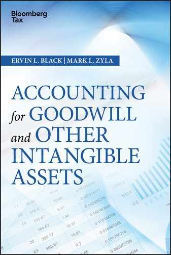 Cover image for Accounting for Goodwill and Other Intangible Assets