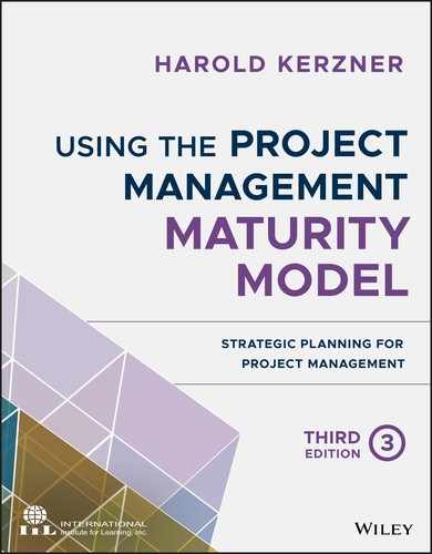 Using the Project Management Maturity Model, 3rd Edition 