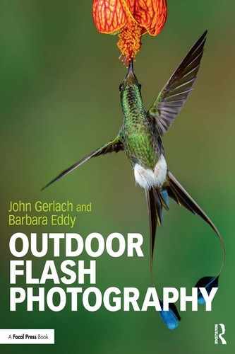 Cover image for Outdoor Flash Photography
