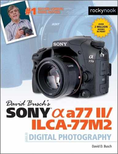 Cover image for David Busch’s Sony Alpha a77 II/ILCA-77M2 Guide to Digital Photography