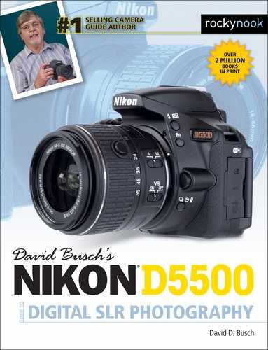 Cover image for David Busch’s Nikon D5500 Guide to Digital SLR Photography