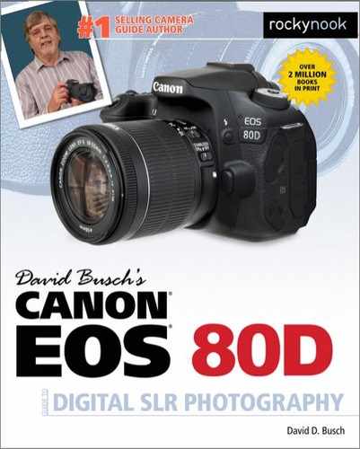 Cover image for David Busch's Canon EOS 80D Guide to Digital SLR Photography