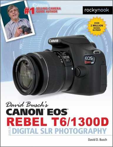 Cover image for David Busch's Canon EOS Rebel T6/1300D Guide to Digital SLR Photography