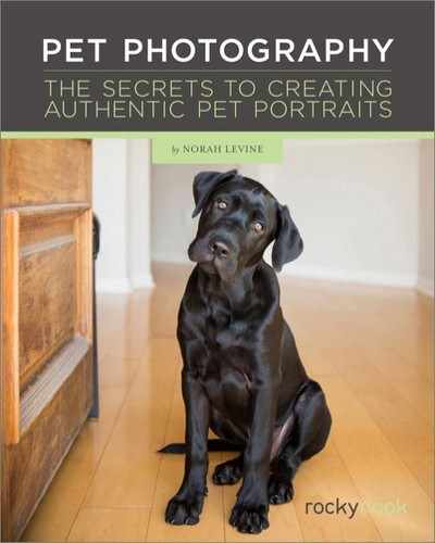 Chapter 7 Photographing Dogs
