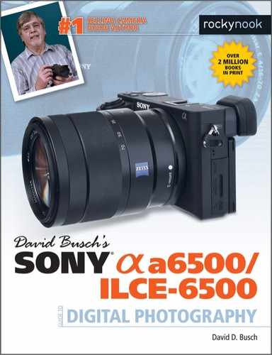 David Busch's Sony Alpha a6500/ILCE-6500 Guide to Digital Photography, 1st Edition 