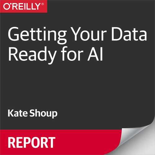 Getting Your Data Ready for AI 