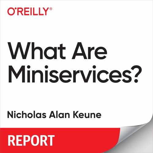 Cover image for What Are Miniservices?