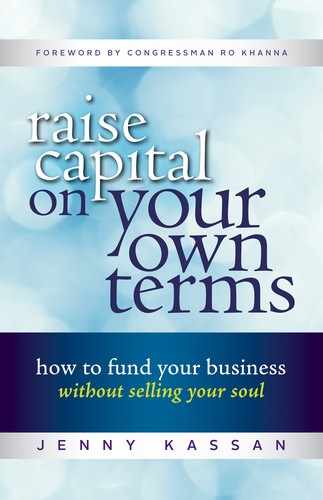Cover image for Raise Capital on Your Own Terms