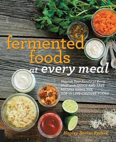 Cover image for Fermented Foods at Every Meal