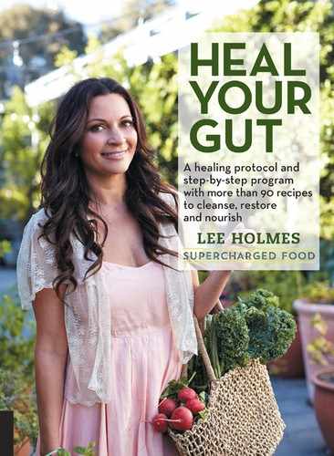 Heal Your Gut by Lee Holmes