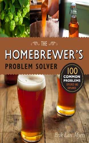 Cover image for Homebrewer's Problem Solver
