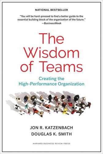 Cover image for The Wisdom of Teams