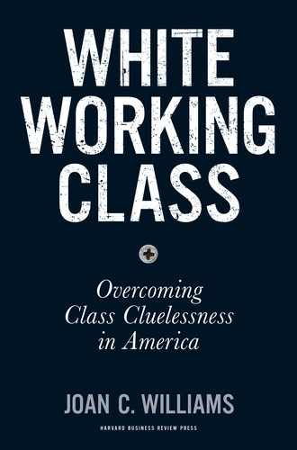 Cover image for White Working Class