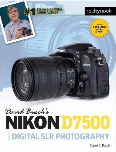Cover image for David Busch's Nikon D7500 Guide to Digital SLR Photography