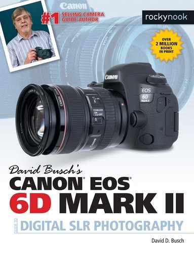 David Busch's Canon EOS 6D Mark II Guide to Digital SLR Photography 