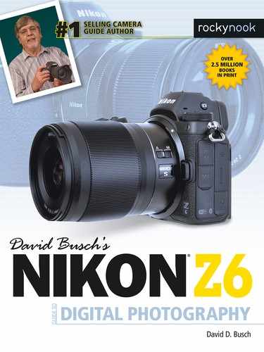 David Busch's Nikon Z6 Guide to Digital Photography by David D. Busch