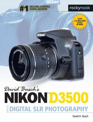 David Busch's Nikon D3500 Guide to Digital SLR Photography 