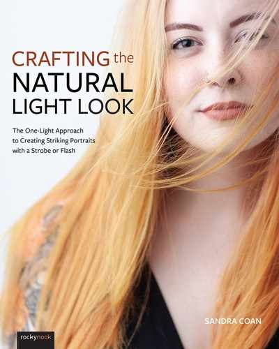 Cover image for Crafting the Natural Light Look