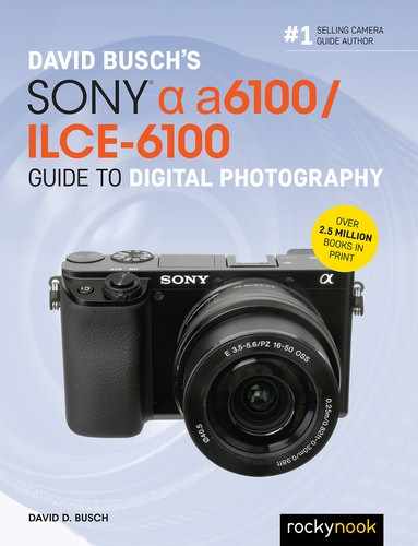 David Busch’s Sony Alpha a6100/ILCE-6100 Guide to Digital Photography 