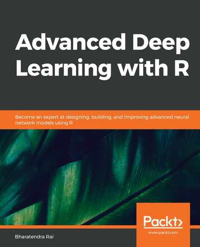 Cover image for Advanced Deep Learning with R