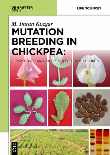 Cover image for Mutation Breeding in Chickpea: