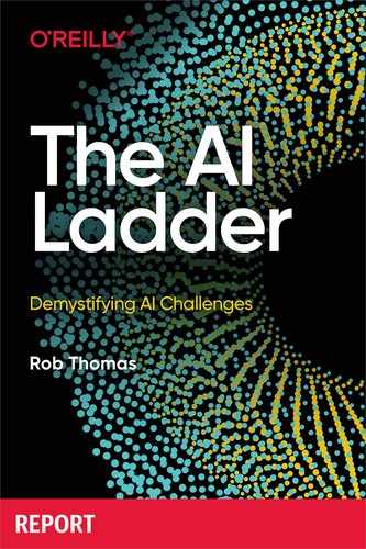 The AI Ladder 