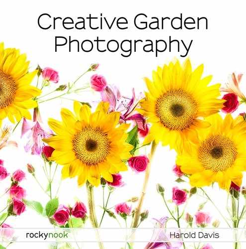 Creative Garden Photography by Harold Davis