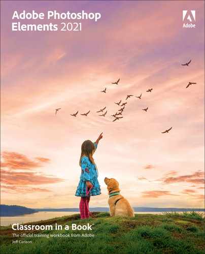 Cover image for Adobe Photoshop Elements 2021 Classroom in a Book