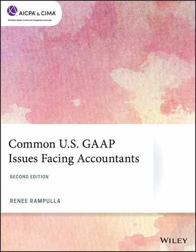Cover image for Common U.S. GAAP Issues Facing Accountants, 2nd Edition