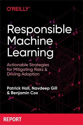 Responsible Machine Learning 