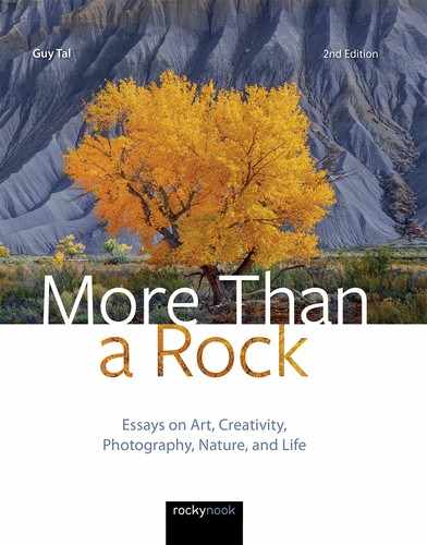 Cover image for More Than a Rock, 2nd Edition
