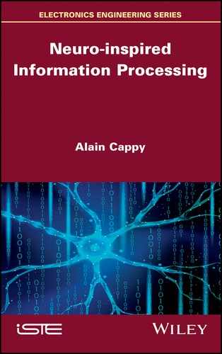 Cover image for Neuro-inspired Information Processing